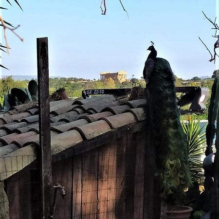 B&B Villa San Marco Agrigento Zewnętrze zdjęcie