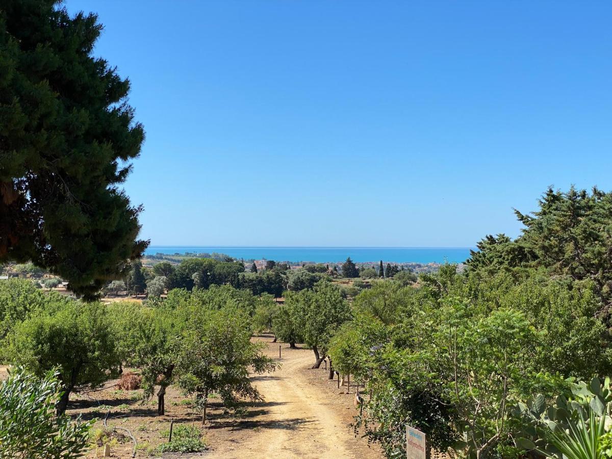 B&B Villa San Marco Agrigento Zewnętrze zdjęcie