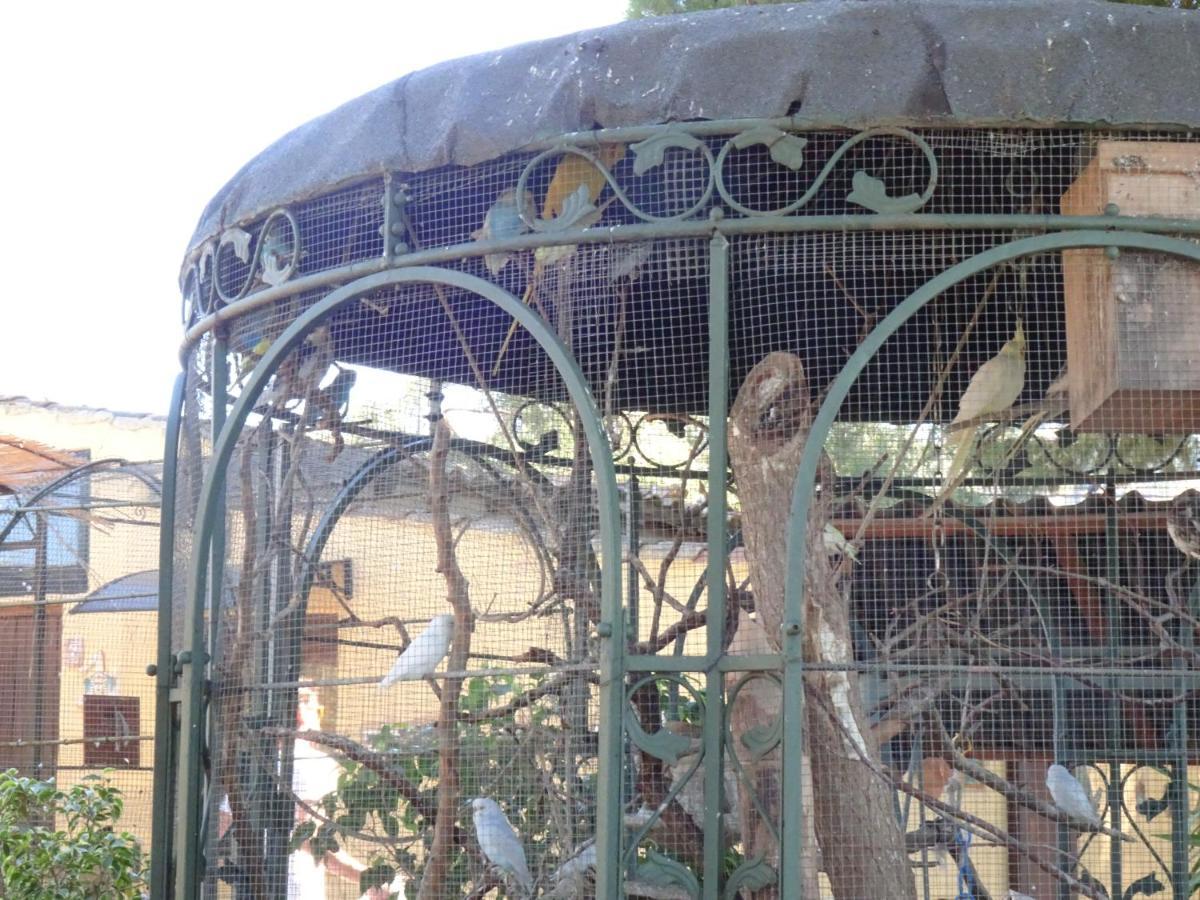 B&B Villa San Marco Agrigento Zewnętrze zdjęcie