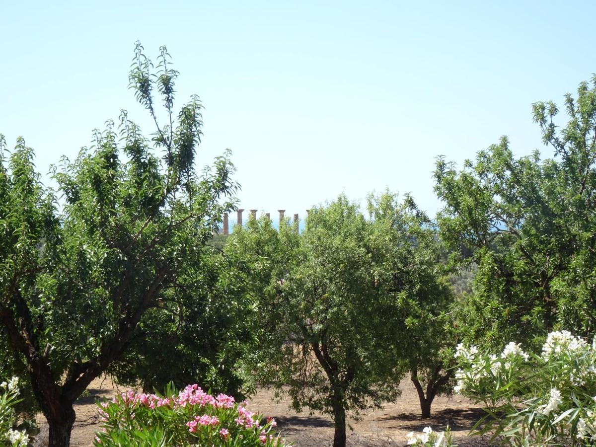 B&B Villa San Marco Agrigento Zewnętrze zdjęcie